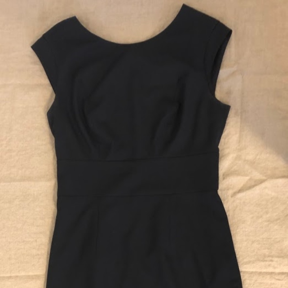 The Limited: Professional Navy blue dress